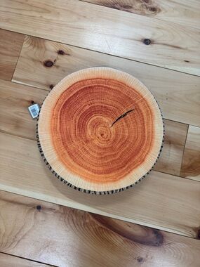 Tree Slice Round Decorative Pillow in Orange
